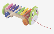 Load image into Gallery viewer, Rainbow Xylophone on pull along frog
